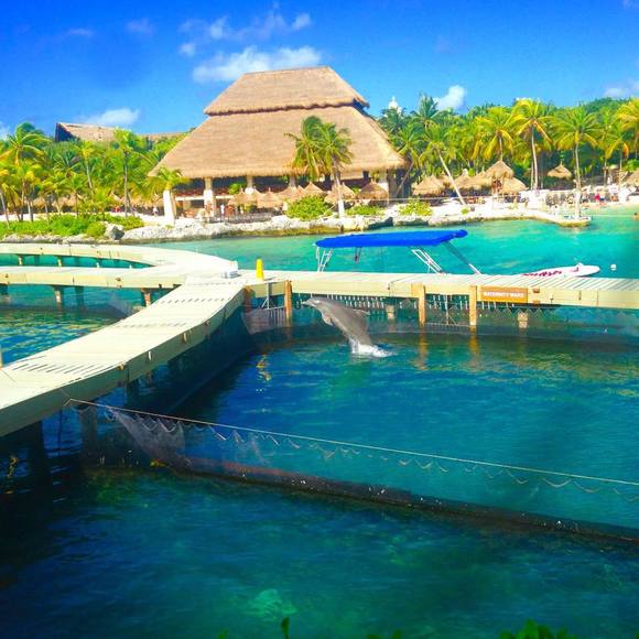 Meet your Posher, Amy - Picture 1 of 1